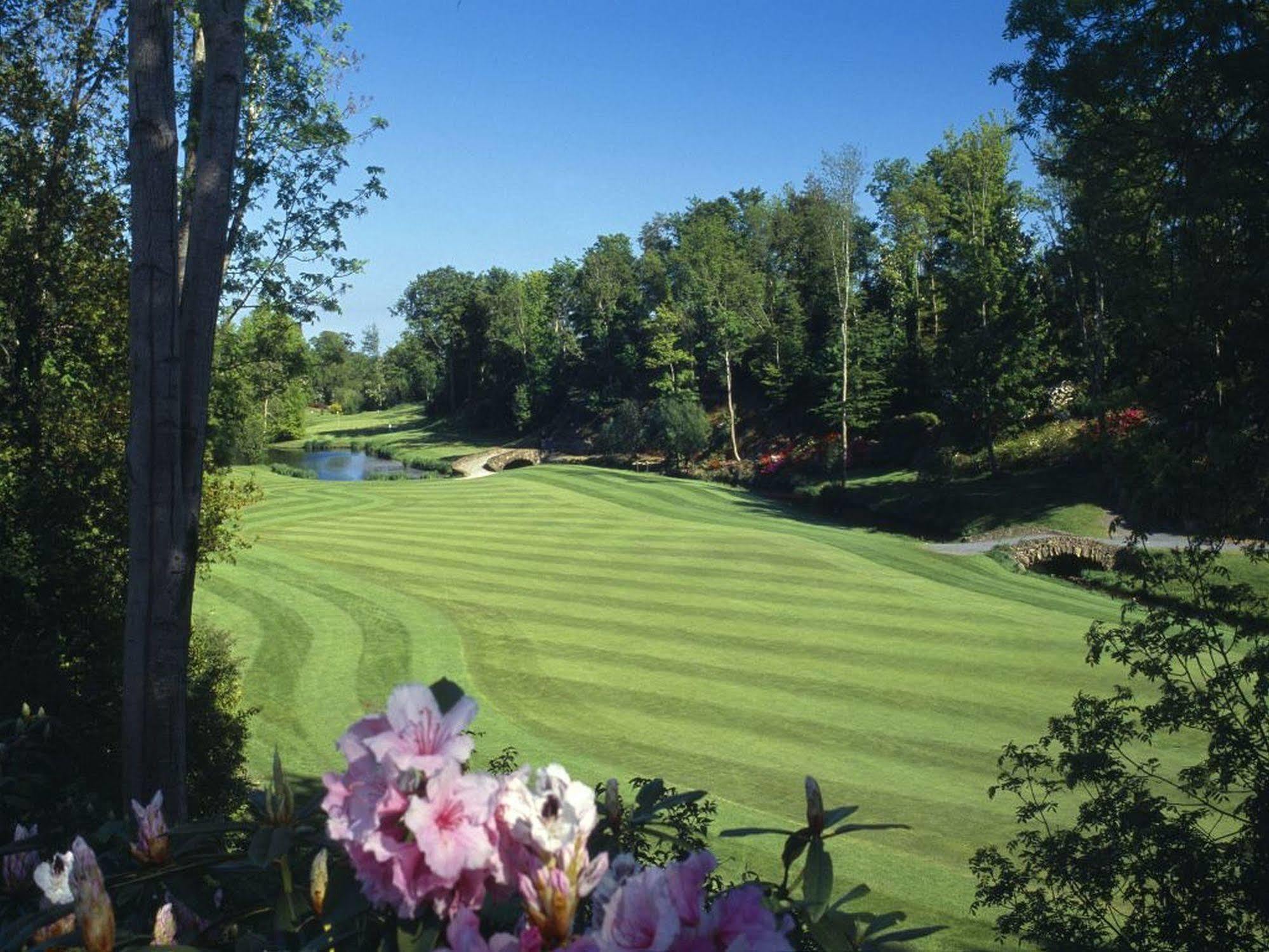Druids Glen Resort Newtownmountkennedy Ngoại thất bức ảnh